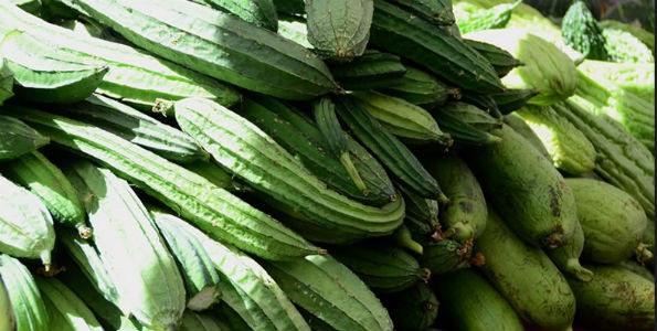 México gran productor de frutas y poco consumidor