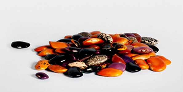 Producto: Frijoles ayocotes