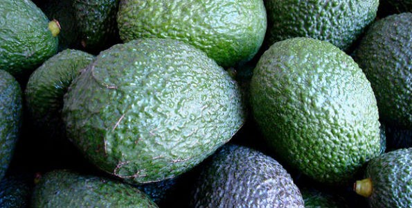 El aguacate de Jalisco entra con más fuerza en EEUU