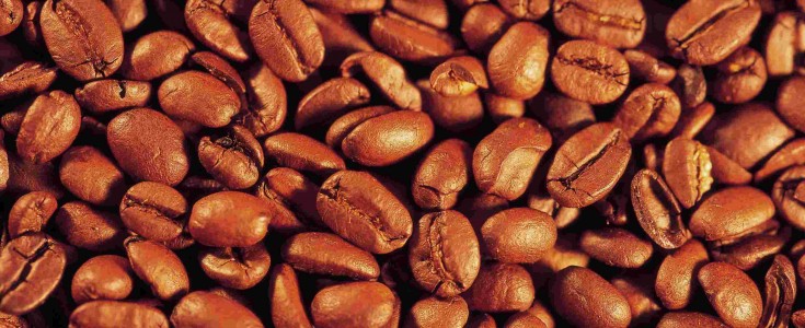 Avanza México en recuperación productiva de café