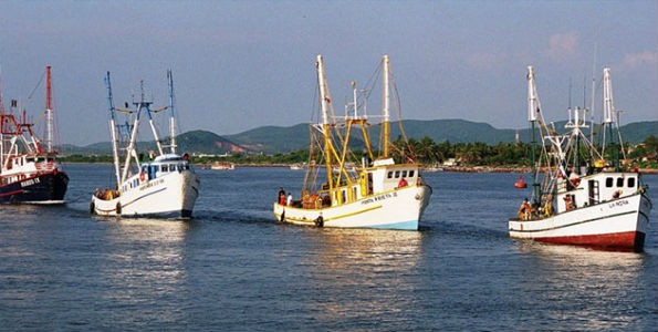Programas de Productividad de Pesca