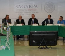La exportación de bovino de México