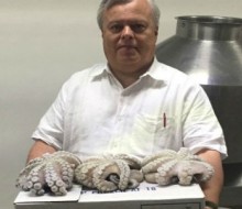 México cuarto productor mundial de pulpo