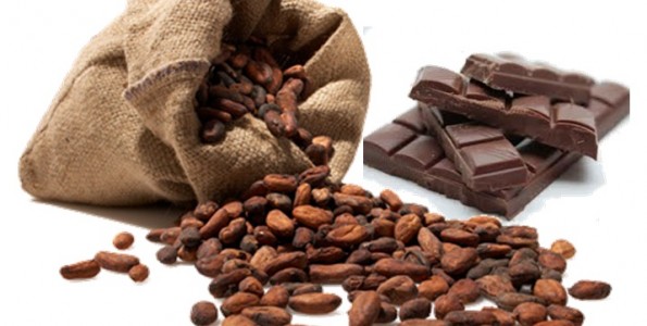 Del Cacao al Chocolate
