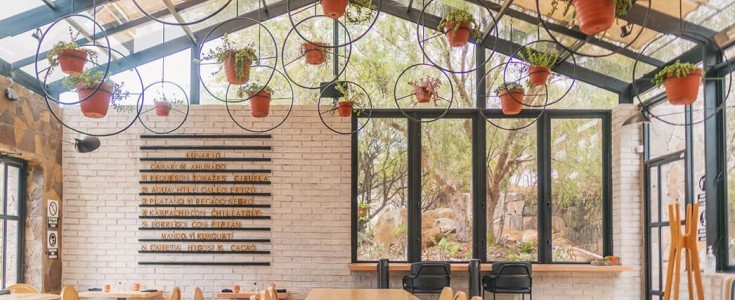 Lunario: alta cocina y respeto por la tierra en el Valle de Guadalupe