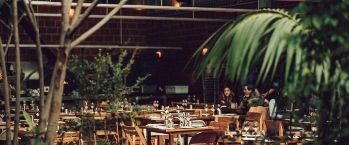 Chuí: un oasis vegetal y sensorial en el corazón de la Ciudad de México