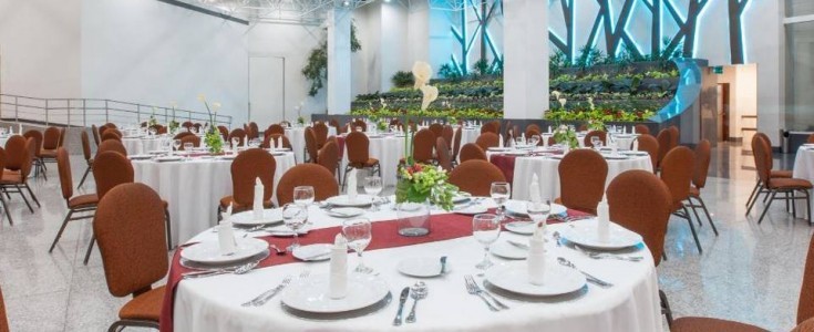 El espíritu del Grinch invade el Crowne Plaza México Norte Tlalnepantla con el evento "Merry Grinchmas"