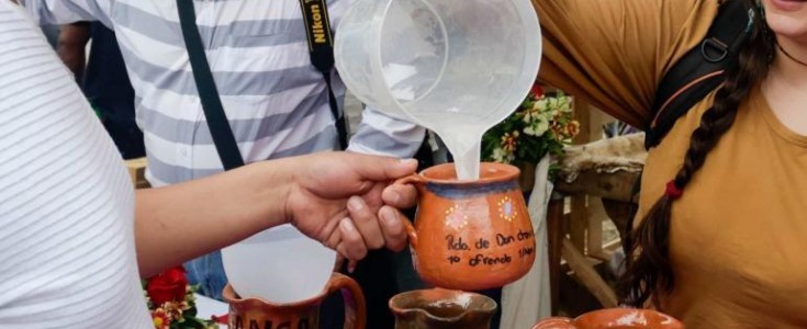 El Festival del Pulque, Gastronomía Típica y Mezcal celebra su 8ª Edición en el corazón de la Condesa