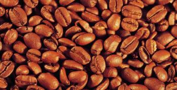 Avanza México en recuperación productiva de café