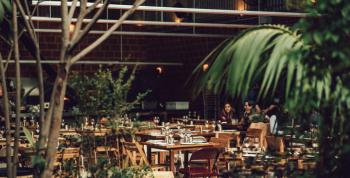 Chuí: un oasis vegetal y sensorial en el corazón de la Ciudad de México