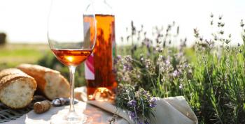 El Vid Forum 2026 convertirá a la Ribera de Chapala en el epicentro del vino y el buen vivir