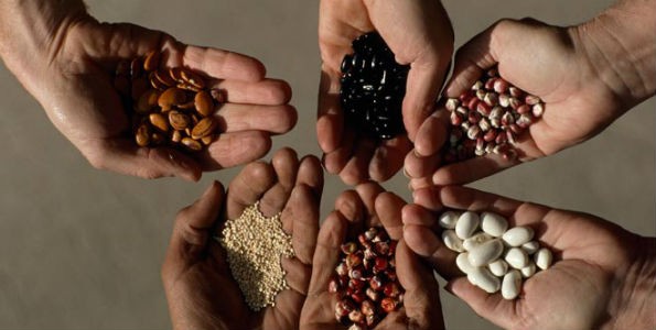 La FAO premia a estudiantes Latinoamericanos